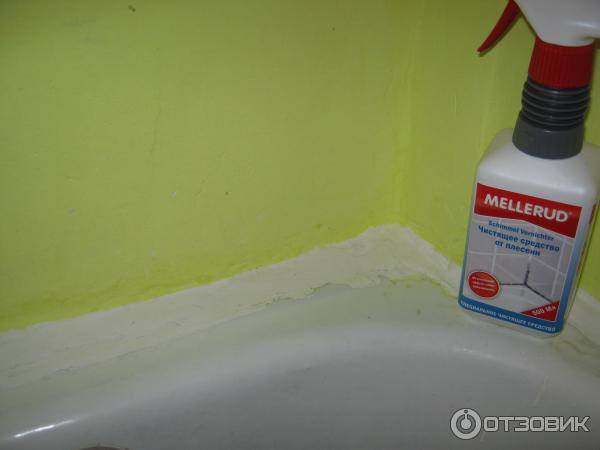 Как избавиться от плесени в ванной в домашних условиях