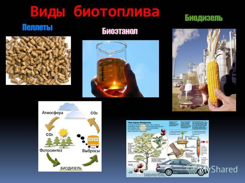 Использование биотоплива. Жидкое биотопливо биодизель. Биотопливо 2 поколения. Из чего состоит биотопливо второго поколения. Примеры использования биотоплива.