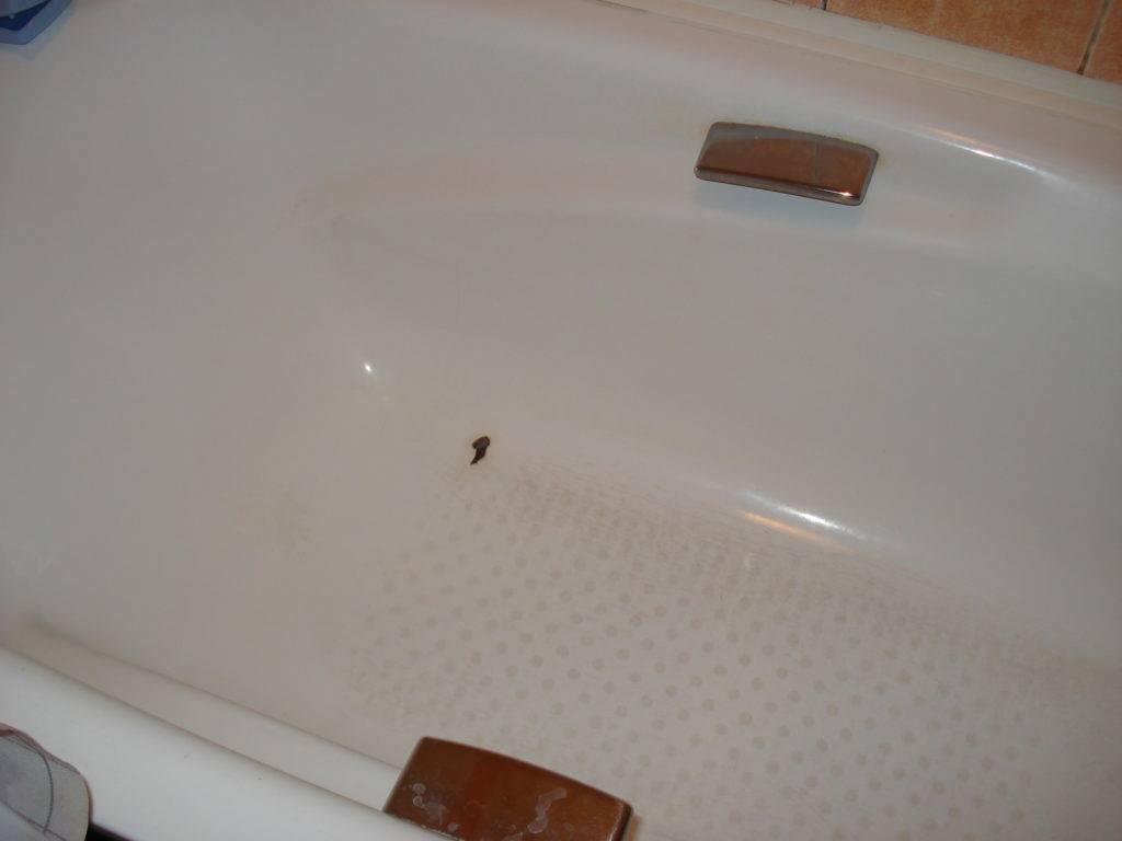 Скол на ванне: причины появления дефектов и устранение