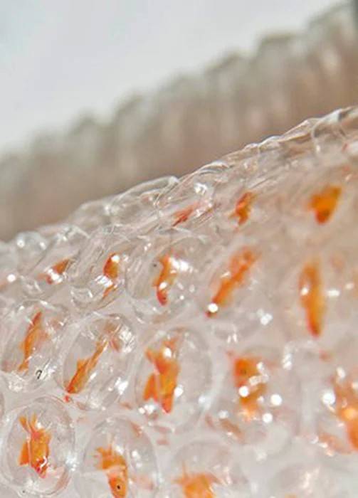 Воздушно-пузырьковая пленка — надежный укрывной материал для парниковых растений
