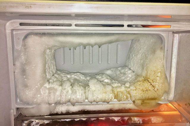 Холодильник саморазмораживающийся: выбираем лучший по бренду и по функциям