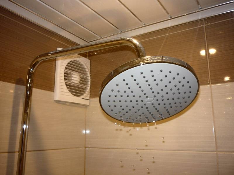 Тропический душ: виды смесителей для ванной и душевой кабины