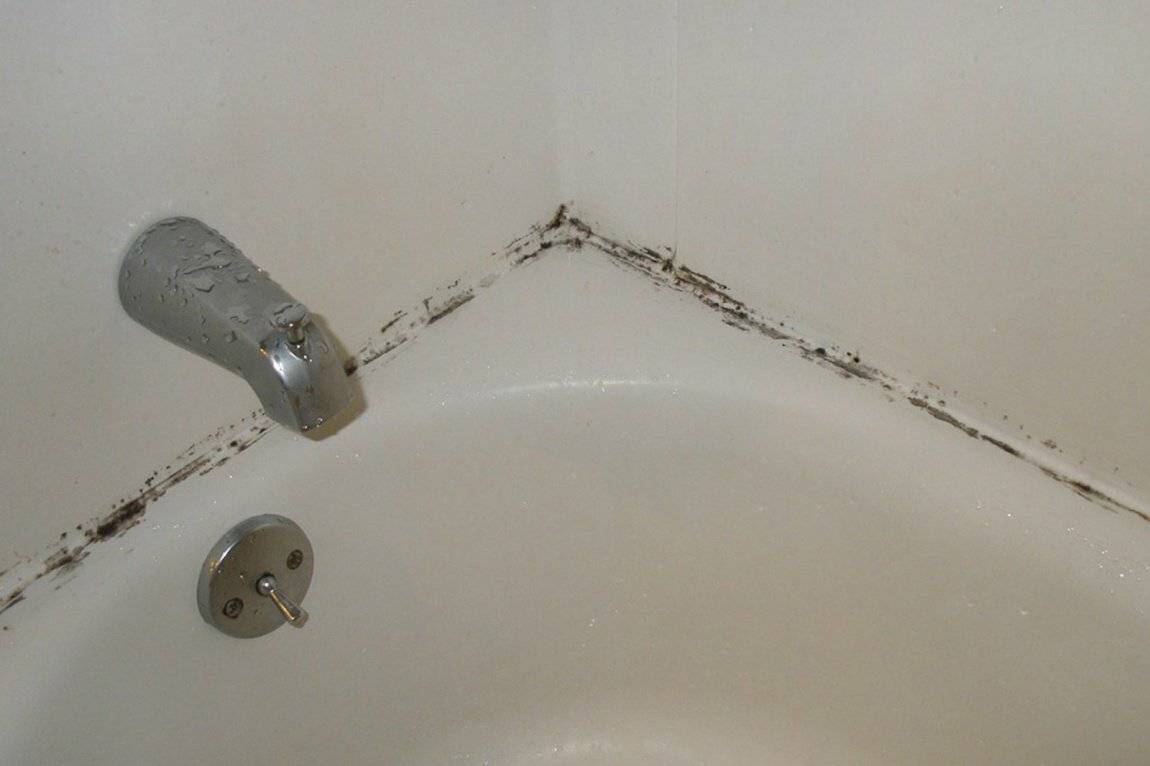 Как избавиться от грибка в ванной и удалить черную плесень с плитки