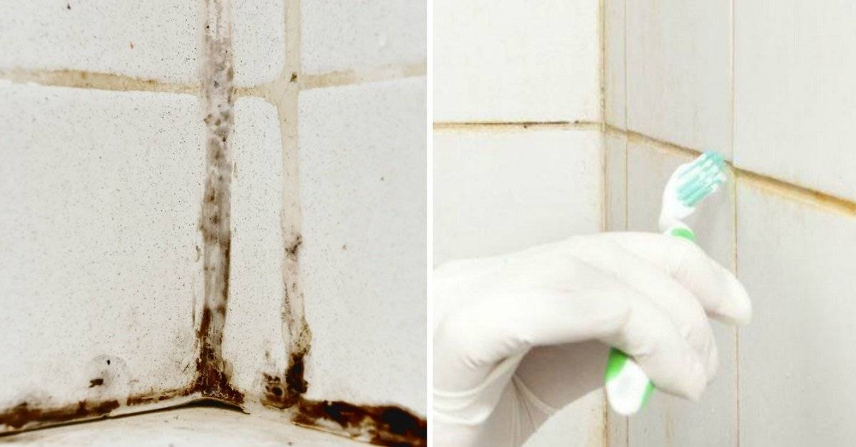 Как избавиться от плесени в ванной? как убрать грибок с поверхностей?