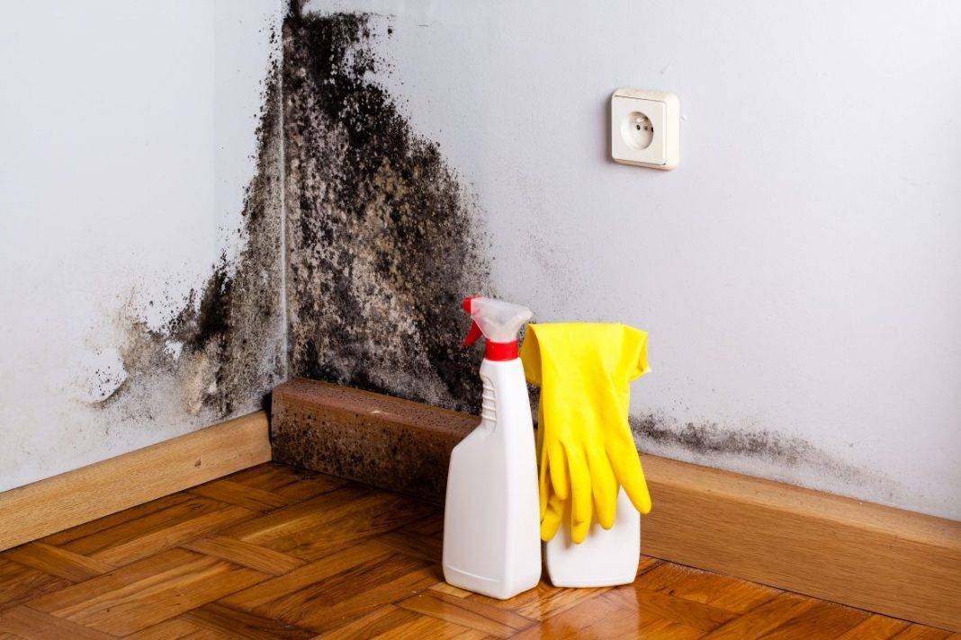 Как избавиться от запаха сырости в квартире