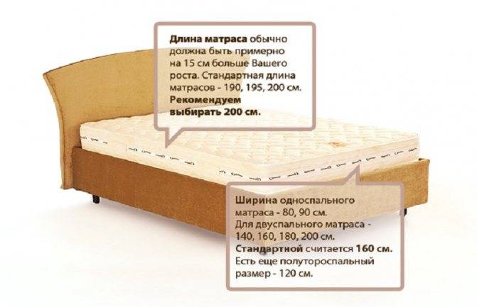 Как вернуть диван в магазин: нюансы закона, пошаговая инструкция для потребителя