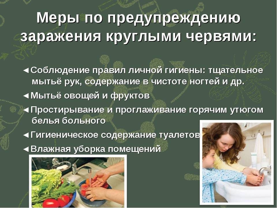 Заражение организма. Меры борьбы с круглыми червями. Круглые черви способ заражения.