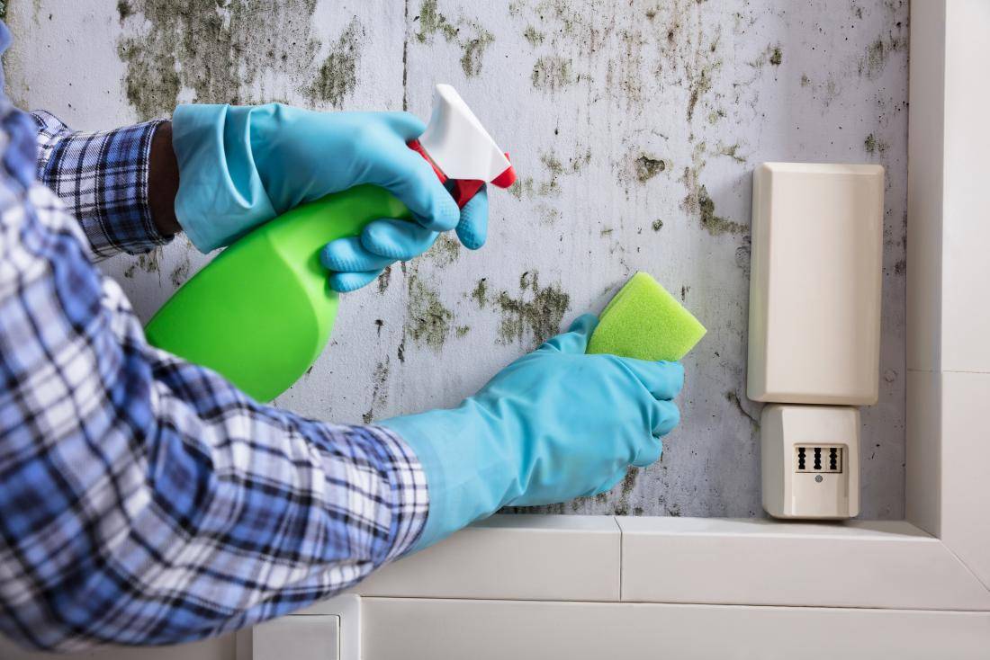 12 способов, как избавиться от запаха в холодильнике