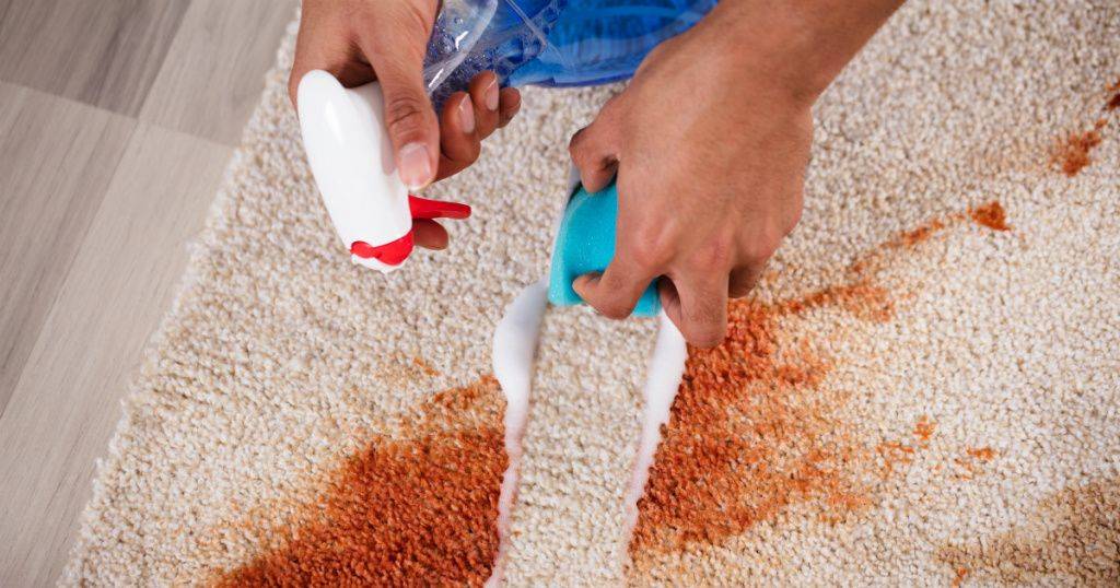 Как почистить ковер: рекомендации по быстрой и эффективной очистке ковровых покрытий своими руками
