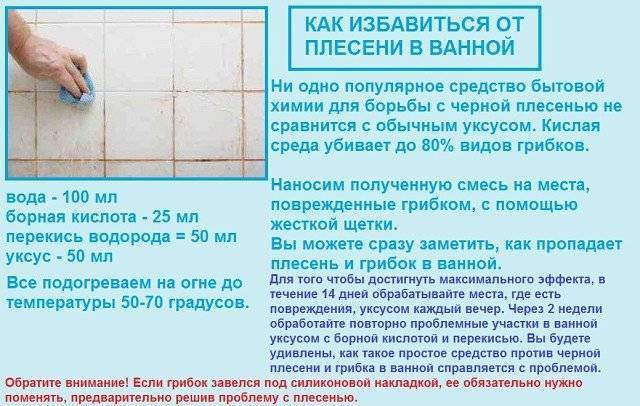 Как избавиться от плесени в домашних условиях- эффективные способы