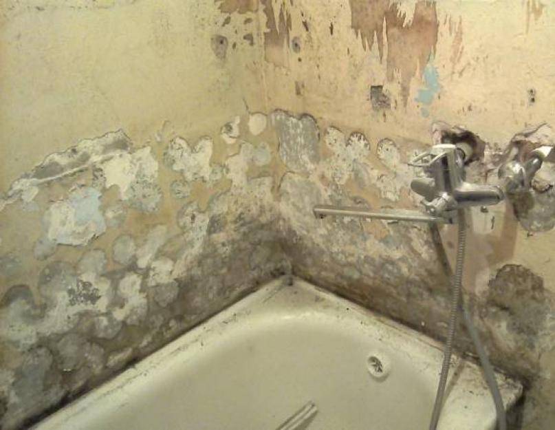 Как выровнять стены в ванной: выбор материала и инструкция для разных видов поверхностей
