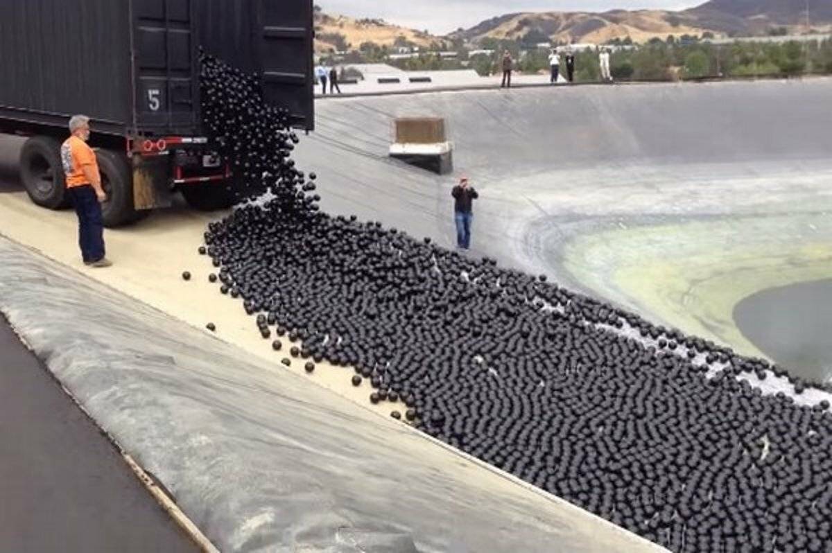 Зачем в водохранилище высыпали почти 100 миллионов чёрных шаров | муза нашего двора